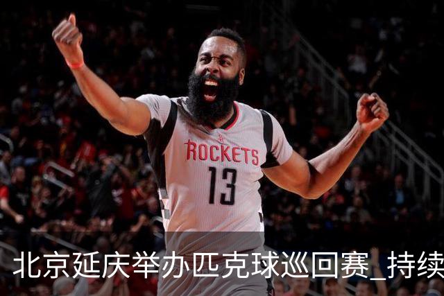北京延庆举办匹克球巡回赛 持续擦亮户外运动城市名片