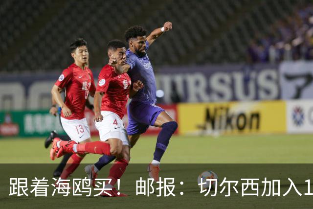 跟着海鸥买！邮报：切尔西加入18岁边锋竞价，布莱顿已报价2050镑