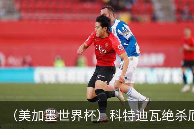 （美加墨世界杯）科特迪瓦绝杀厄瓜多尔 瑞典5:1大胜突尼斯