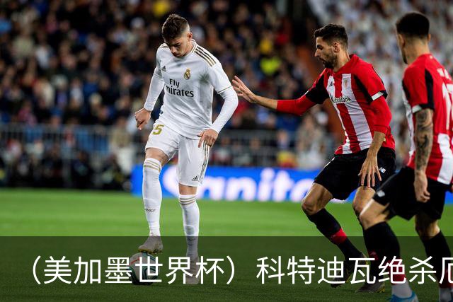 （美加墨世界杯）科特迪瓦绝杀厄瓜多尔 瑞典5:1大胜突尼斯